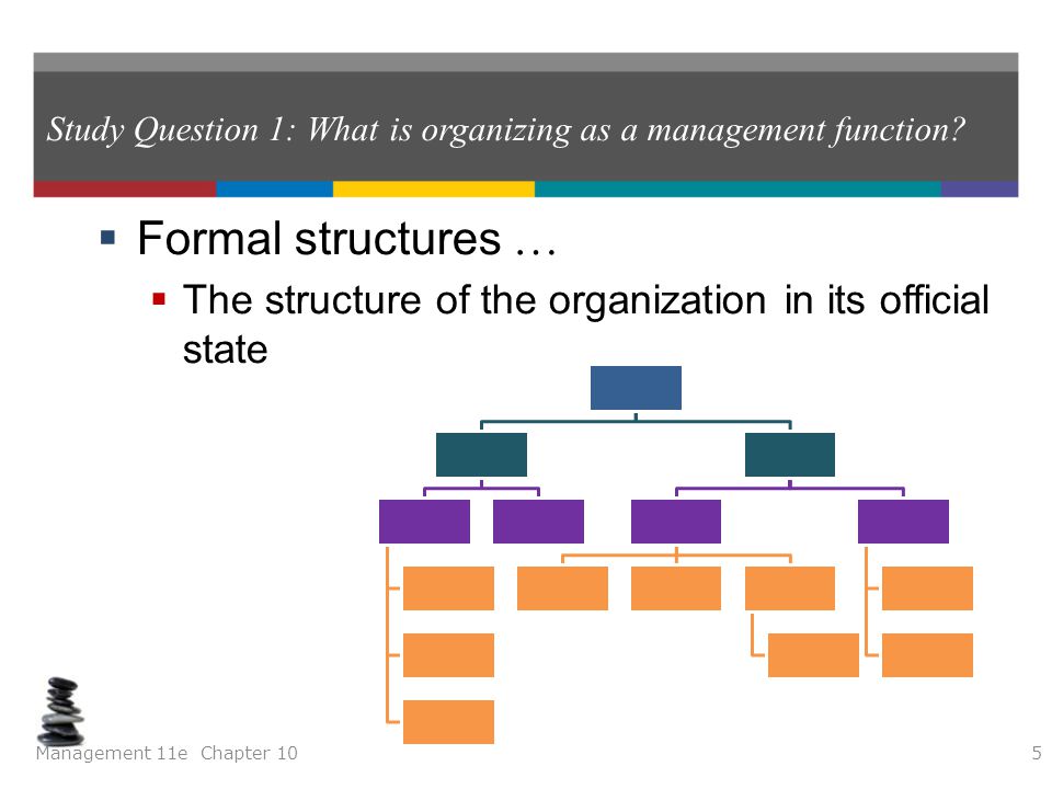 Examples of Organization Management
